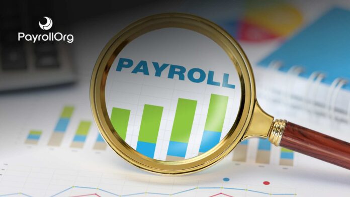 Americans Skeptical of AI Handling Payroll, Survey Finds